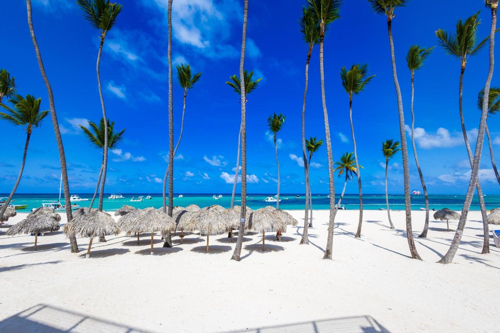Prime Ocean View Punta Cana Apartments - 3-Bedroom Getaway With Private Terrace On Bavaro Beach Buitenkant foto